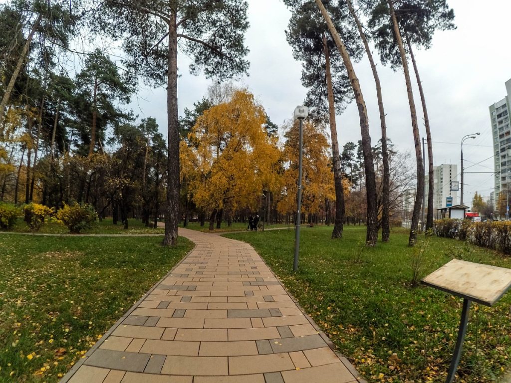 Пробежка в парке на улице Бакинской